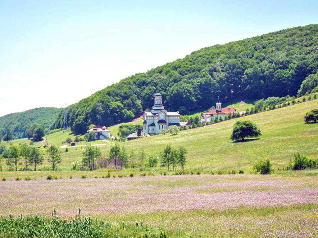 Casa Bradet ξενώνας Întorsura Buzăului Εξωτερικό φωτογραφία